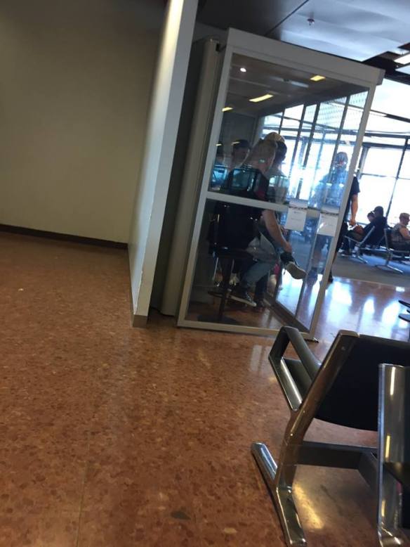 13501572_1248769675167071_4708814631458273390_n