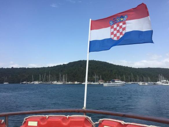 13537649_1248775308499841_2959796017416627276_n